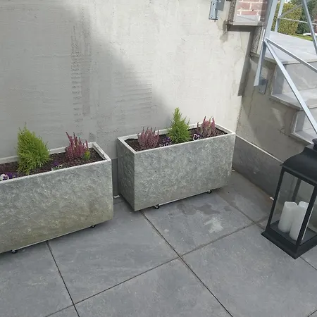 Le Club De La Source * Hannut